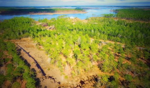 Photo #4 of 203 Paradox Point, Aurora, NC 7.6 acres
