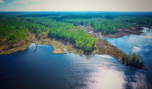 Photo #10 of 203 Paradox Point, Aurora, NC 7.6 acres