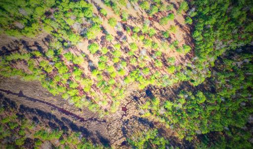 Photo #3 of 203 Paradox Point, Aurora, NC 7.6 acres