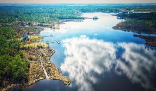 Photo #8 of 203 Paradox Point, Aurora, NC 7.6 acres