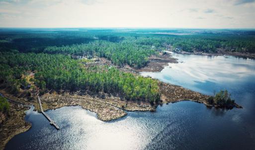 Photo #11 of 203 Paradox Point, Aurora, NC 7.6 acres