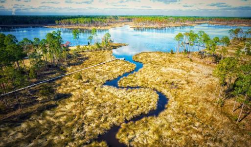 Photo #12 of 203 Paradox Point, Aurora, NC 7.6 acres