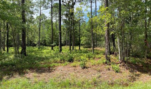 Photo #1 of 361 Ash, Boiling Spring Lakes, NC 0.5 acres