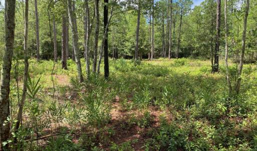 Photo #2 of 361 Ash, Boiling Spring Lakes, NC 0.5 acres
