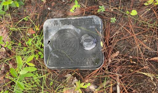 Photo #4 of 361 Ash, Boiling Spring Lakes, NC 0.5 acres