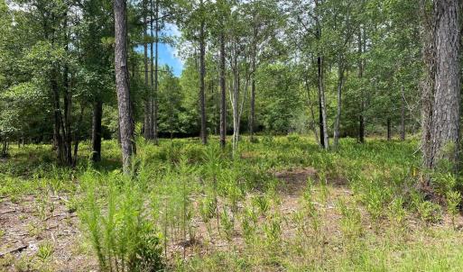 Photo #3 of 361 Ash, Boiling Spring Lakes, NC 0.5 acres