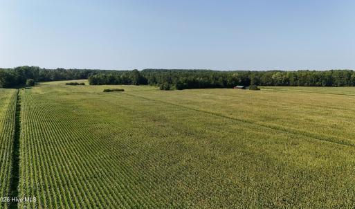 Photo #74 of 5200 Kershaw, Oriental, NC 122.8 acres