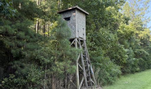 Photo #67 of 5200 Kershaw, Oriental, NC 122.8 acres