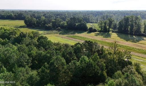 Photo #26 of 5200 Kershaw, Oriental, NC 122.8 acres