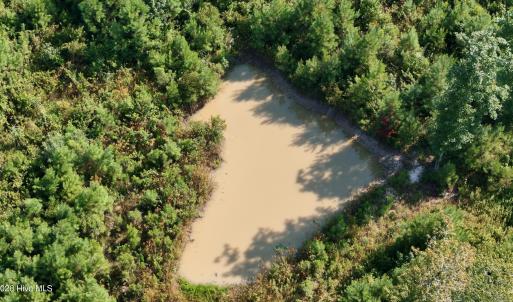 Photo #55 of 5200 Kershaw, Oriental, NC 122.8 acres