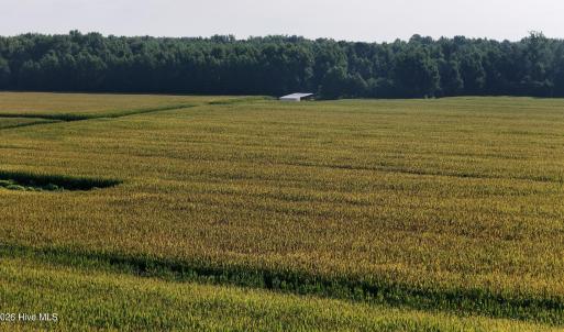 Photo #34 of 5200 Kershaw, Oriental, NC 122.8 acres