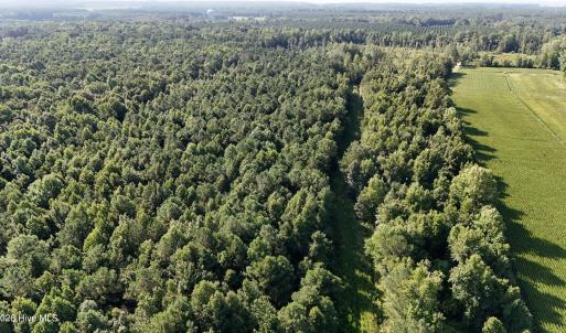Photo #37 of 5200 Kershaw, Oriental, NC 122.8 acres