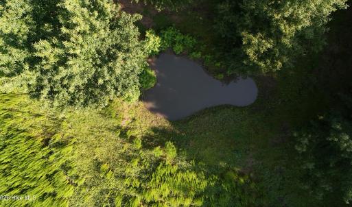 Photo #15 of 5200 Kershaw, Oriental, NC 122.8 acres