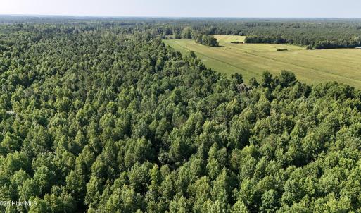 Photo #11 of 5200 Kershaw, Oriental, NC 122.8 acres