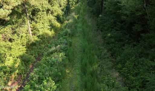 Photo #38 of 5200 Kershaw, Oriental, NC 122.8 acres