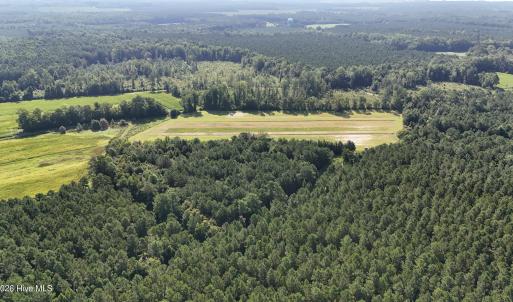Photo #52 of 5200 Kershaw, Oriental, NC 122.8 acres
