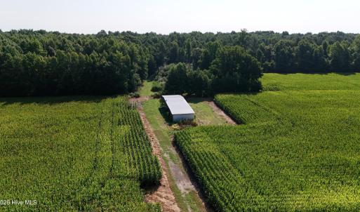 Photo #16 of 5200 Kershaw, Oriental, NC 122.8 acres