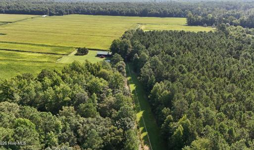 Photo #43 of 5200 Kershaw, Oriental, NC 122.8 acres