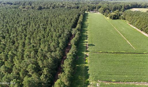 Photo #9 of 5200 Kershaw, Oriental, NC 122.8 acres