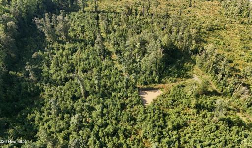 Photo #40 of 5200 Kershaw, Oriental, NC 122.8 acres