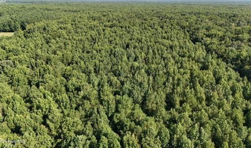 Photo #48 of 5200 Kershaw, Oriental, NC 122.8 acres