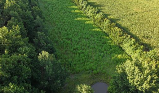 Photo #33 of 5200 Kershaw, Oriental, NC 122.8 acres