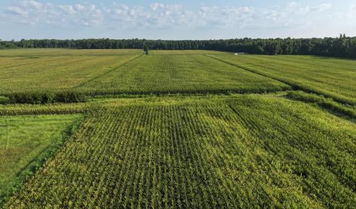 Photo #21 of 5200 Kershaw, Oriental, NC 122.8 acres