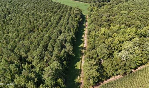 Photo #17 of 5200 Kershaw, Oriental, NC 122.8 acres