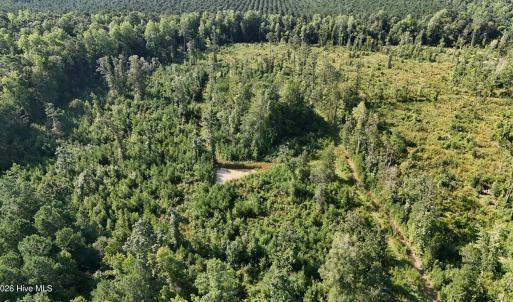Photo #27 of 5200 Kershaw, Oriental, NC 122.8 acres