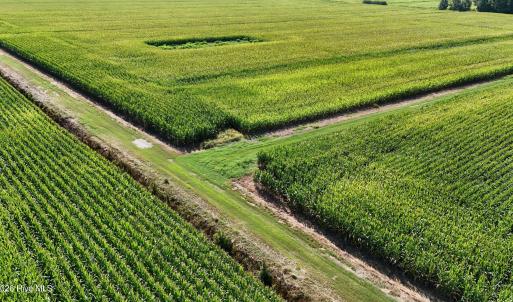 Photo #7 of 5200 Kershaw, Oriental, NC 122.8 acres