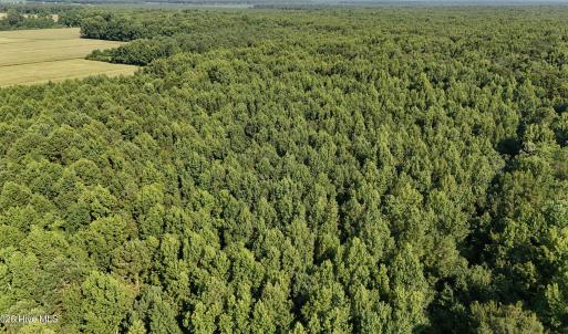 Photo #47 of 5200 Kershaw, Oriental, NC 122.8 acres