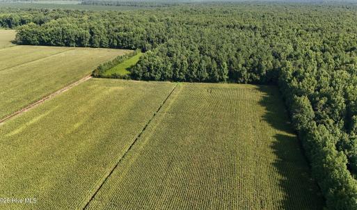 Photo #6 of 5200 Kershaw, Oriental, NC 122.8 acres