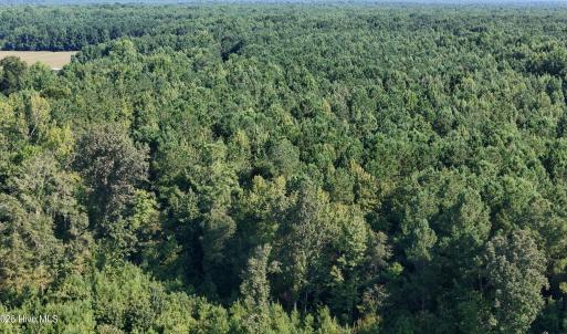 Photo #14 of 5200 Kershaw, Oriental, NC 122.8 acres