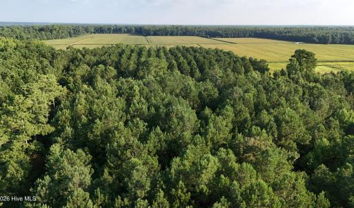 Photo #13 of 5200 Kershaw, Oriental, NC 122.8 acres