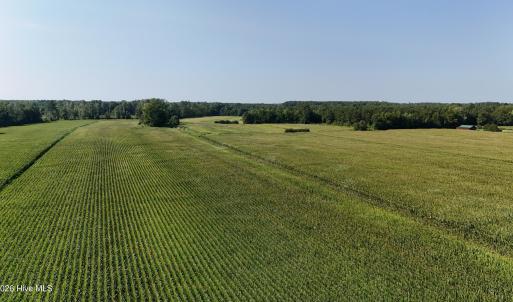 Photo #19 of 5200 Kershaw, Oriental, NC 122.8 acres