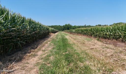 Photo #59 of 5200 Kershaw, Oriental, NC 122.8 acres