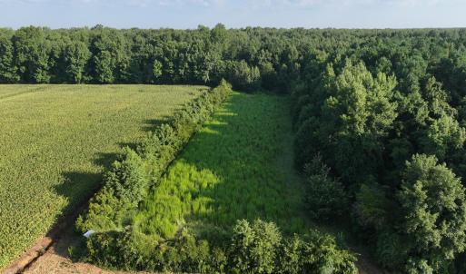 Photo #5 of 5200 Kershaw, Oriental, NC 122.8 acres