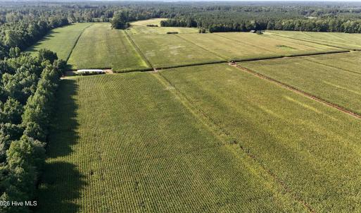 Photo #31 of 5200 Kershaw, Oriental, NC 122.8 acres