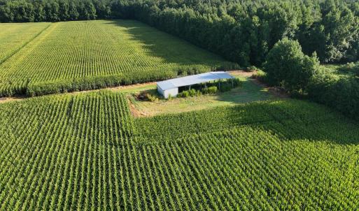 Photo #28 of 5200 Kershaw, Oriental, NC 122.8 acres