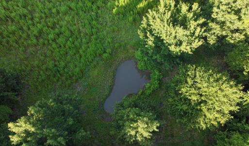 Photo #39 of 5200 Kershaw, Oriental, NC 122.8 acres