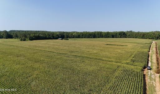 Photo #49 of 5200 Kershaw, Oriental, NC 122.8 acres