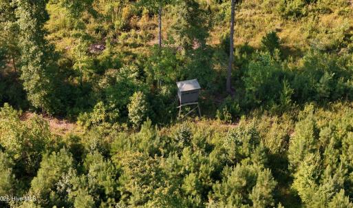 Photo #41 of 5200 Kershaw, Oriental, NC 122.8 acres