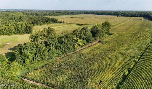 Photo #24 of 5200 Kershaw, Oriental, NC 122.8 acres