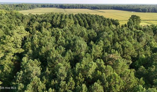 Photo #29 of 5200 Kershaw, Oriental, NC 122.8 acres