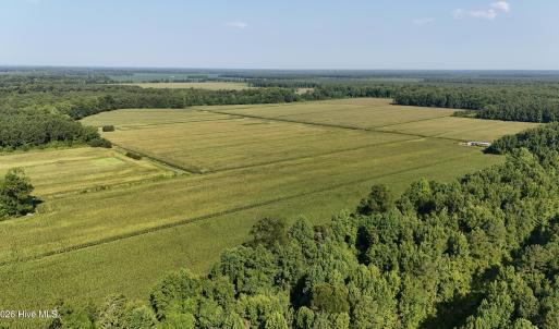 Photo #54 of 5200 Kershaw, Oriental, NC 122.8 acres