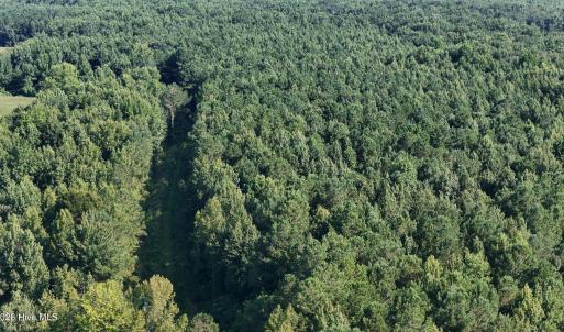 Photo #60 of 5200 Kershaw, Oriental, NC 122.8 acres
