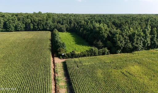 Photo #23 of 5200 Kershaw, Oriental, NC 122.8 acres