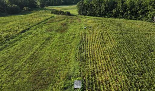 Photo #18 of 5200 Kershaw, Oriental, NC 122.8 acres
