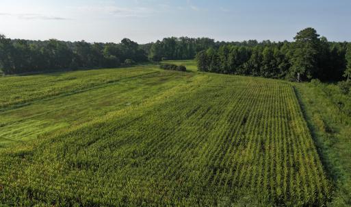 Photo #72 of 5200 Kershaw, Oriental, NC 122.8 acres