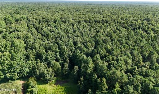 Photo #45 of 5200 Kershaw, Oriental, NC 122.8 acres